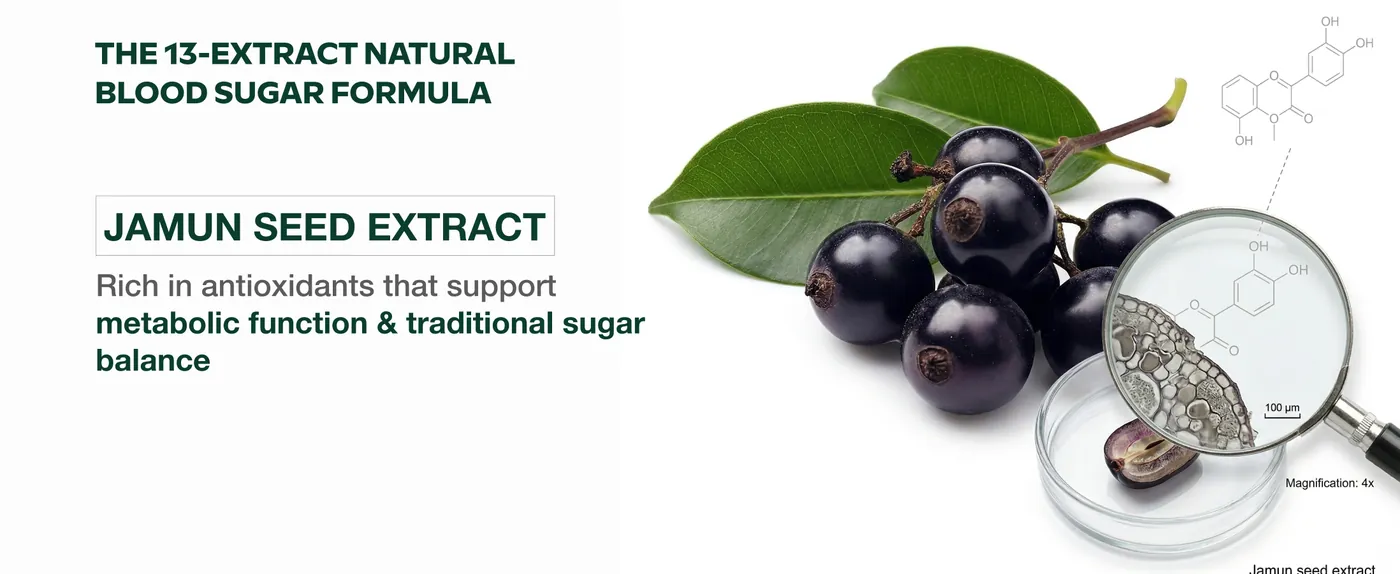 DiabeVita A+ Desktop Banner 4
